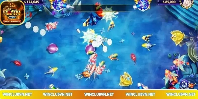 ban-ca-dai-chien-thai-binh-duong-phong-choi